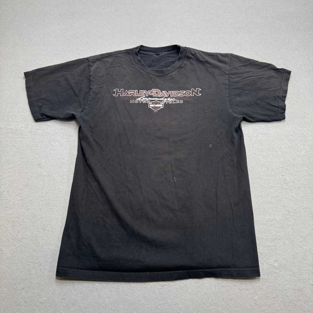 Harley-Davidson T-Shirt Men's Large Black Steve Drane Short Sleeve Grunge Moto
